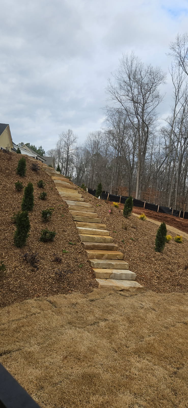 Landscaping project 1